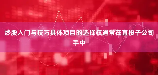 炒股入门与技巧具体项目的选择权通常在直投子公司手中