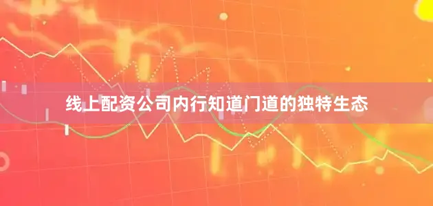 线上配资公司内行知道门道的独特生态