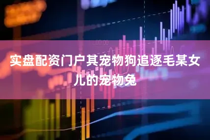 实盘配资门户其宠物狗追逐毛某女儿的宠物兔